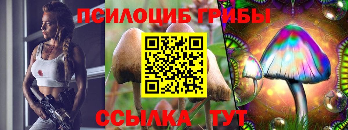 Псилоцибиновые грибы GOLDEN TEACHER Сосновый Бор