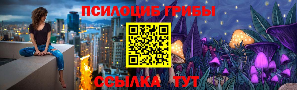 Сосновый Бор  Псилоцибиновые грибы GOLDEN TEACHER  Вход с VPN 